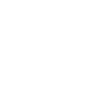 Logo INSR